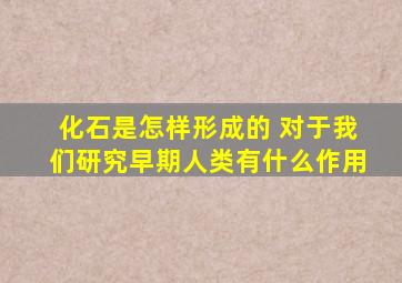 化石是怎样形成的 对于我们研究早期人类有什么作用